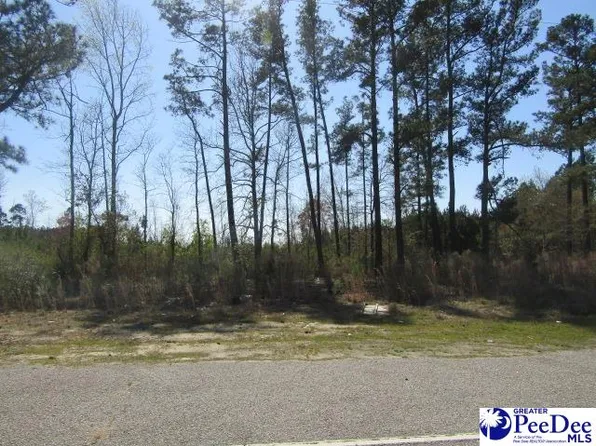 State Road 30, Dillon, SC 29536