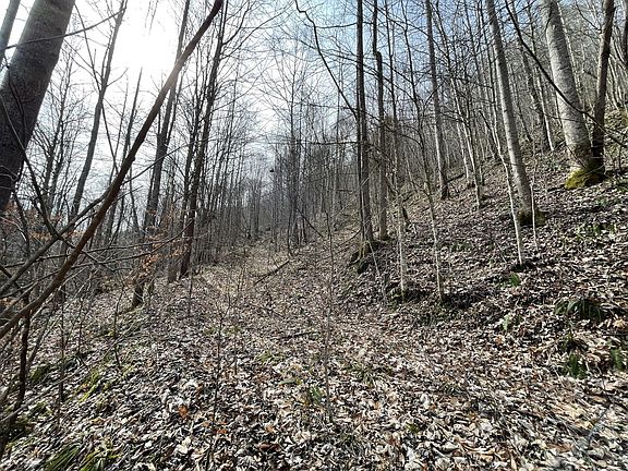 5th image of 9999 Trace Branch Rd