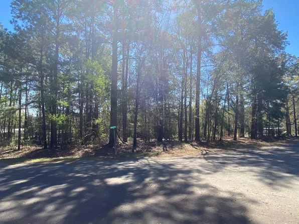 LOT 51 Bois D Arc Dr, Diana, TX 75640