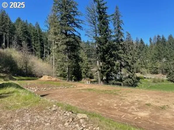 62 Wallace Creek Rd, Carson, WA 98610