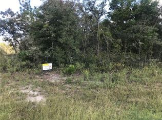 Slippery Rock St, Webster, FL 33597