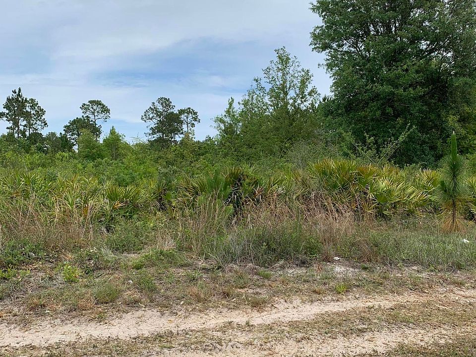 2nd image of 4502 County Road 218