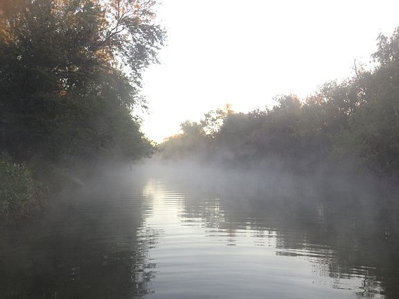 Foggy morning on the pond.