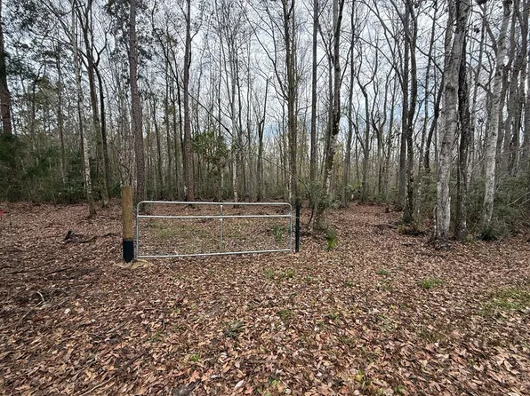 10622 S Le Baron Dr, Homosassa, FL 34448