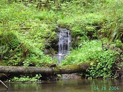 Private waterfall on property.