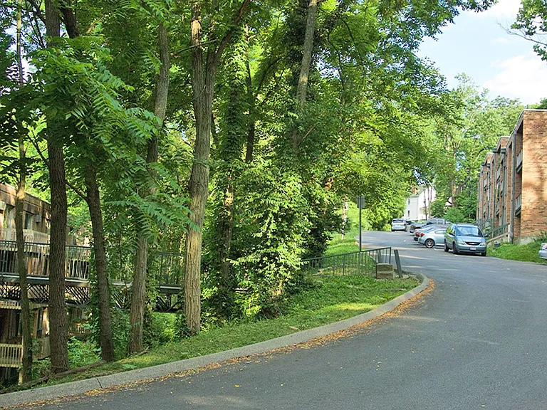 Clifton Woods — Photo 19