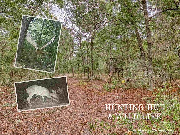 4th image of 10246 Nichols Lake Rd