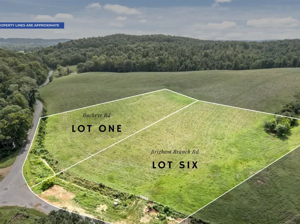 1 Buckeye Rd Lot 1, Erin, TN 37061