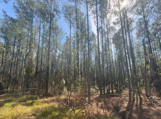 NE 22nd Ln, Hawthorne, FL 32640