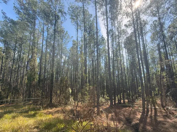 NE 22nd Ln, Hawthorne, FL 32640