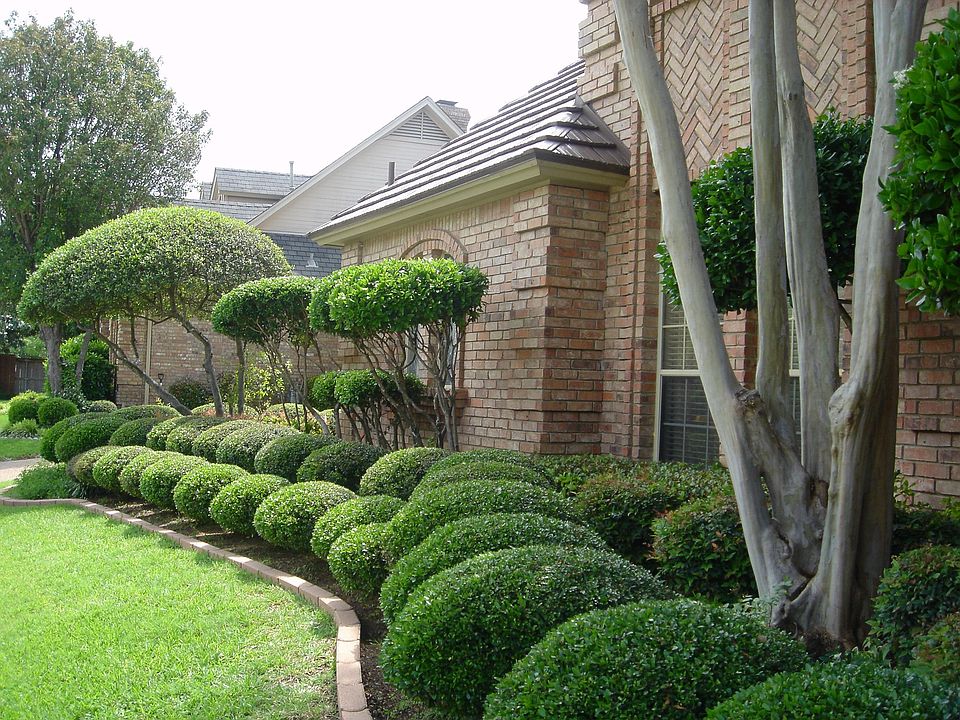 Extensive Landscaping