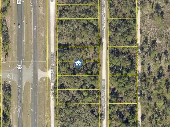 LOT 14 Necklace Warbler Ave Lot 14, Brooksville, FL 34614