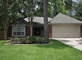 46 S Indian Sage Cir, Spring, TX 77381