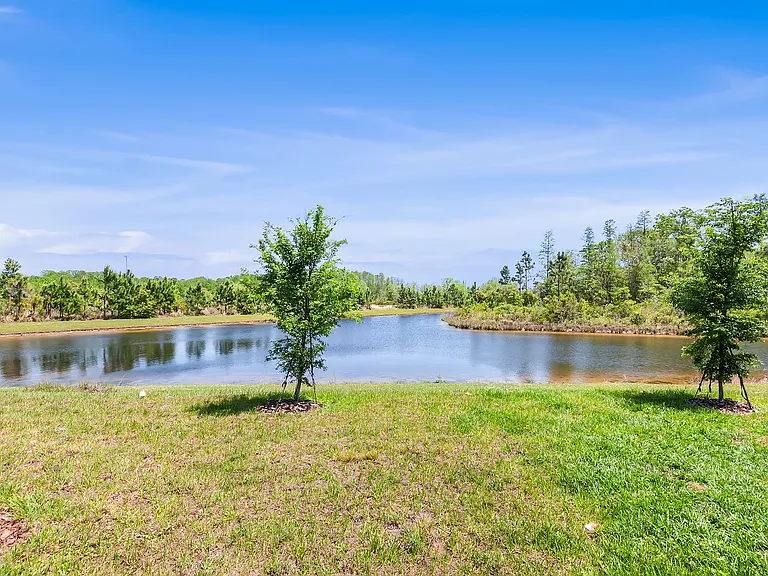 11236 Crescent Deer Dr — Photo 13