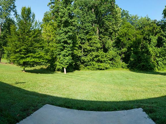 Back Yard View.