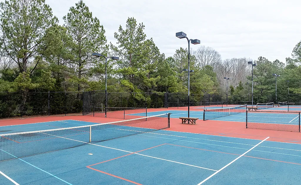 Winding Chestnut Drive, Columbia, SC, USA — Photo 3