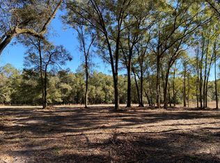 LOT 1&2 SW 20th St, Bell, FL 32619