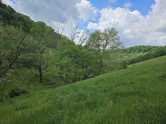 4th image of 263 Club Springs Rd