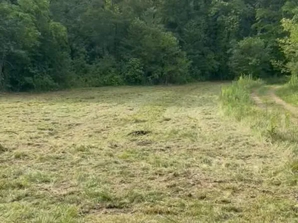 1468A Tatman Coe Rd, Mc Dermott, OH 45652