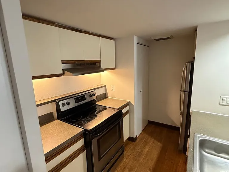 237 Chestnut St #1-411 — Photo 3