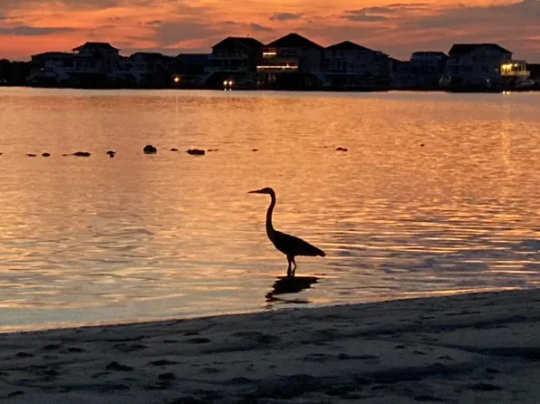 1131 S GREEN STREET, TUCKERTON, NJ 08087