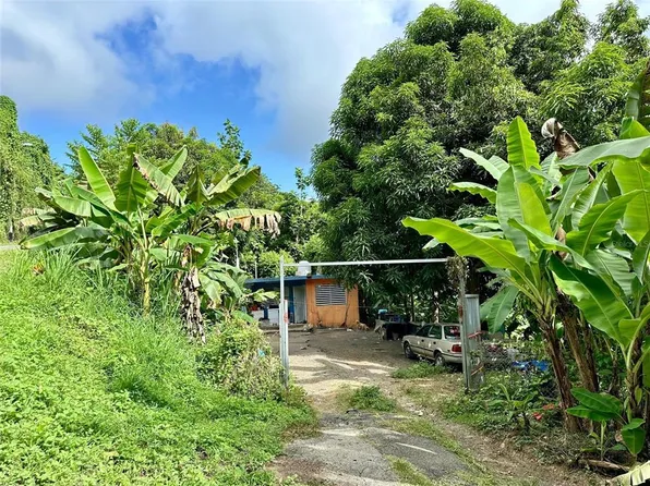 Carr 3 Bo Aguas Claras Sect El Corcho #270, Ceiba, PR 00735