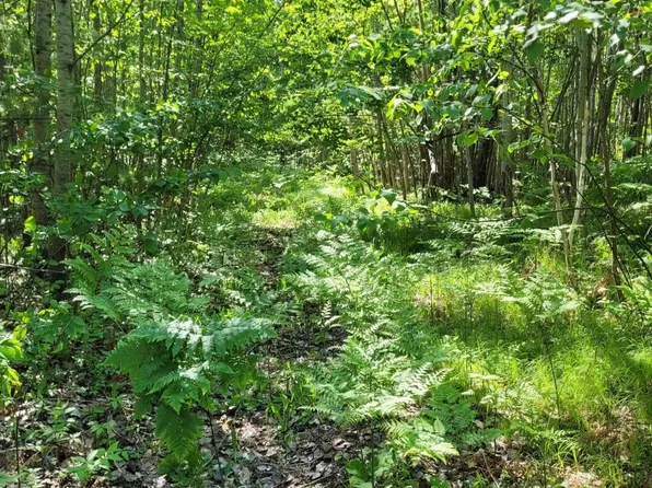 11715 E Knoll Rd, Lake Nebagamon, WI 54849