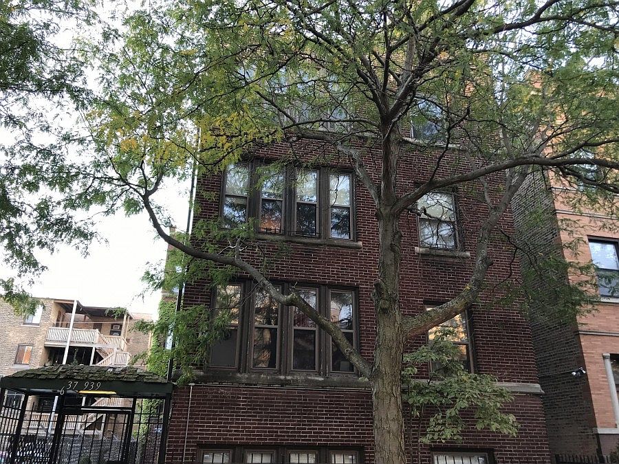 1st image of 931 W Windsor Ave #P-53