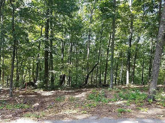 3rd image of 0 Eleanor Dr SW Lot 9