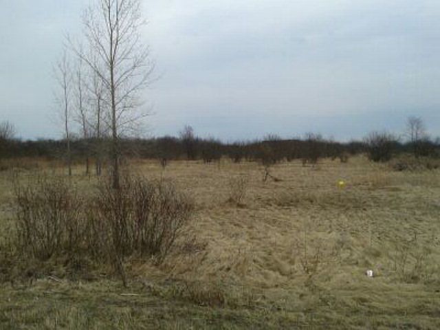 2nd image of 88 Clark Rd