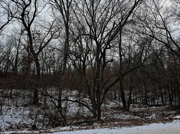 Black Oak Ln #1, Coloma, WI 54930
