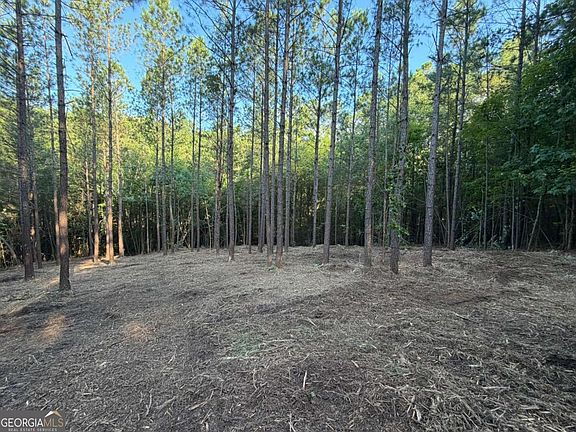 2nd image of 0 Lone Bear Path