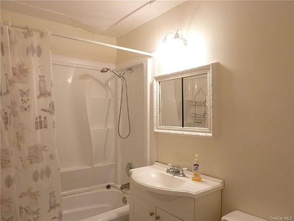 4th image of 35 Park Ave APT 4W