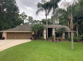100 Deerpath Ct, Oldsmar, FL 34677