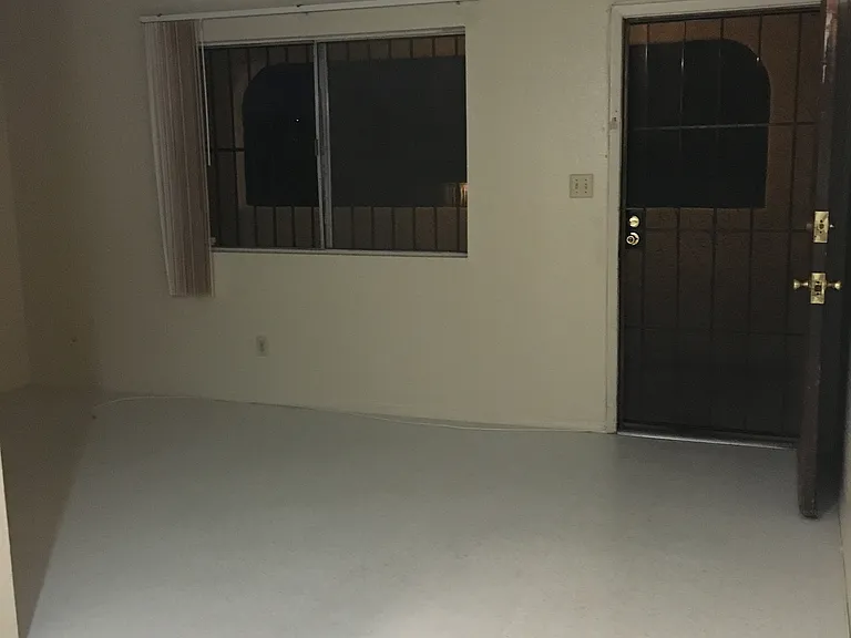 Entrance/living room