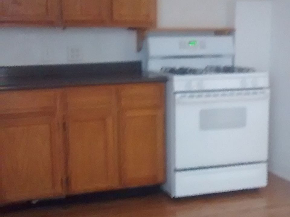 1st image of 3700 S Wallace St #1
