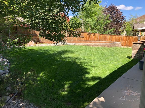 Back yard