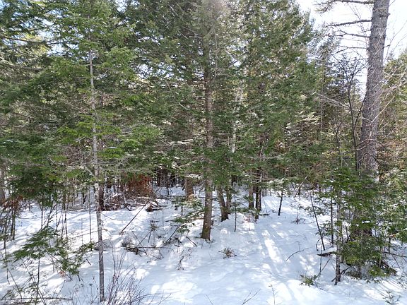 4th image of 14 Twin Springs Lane