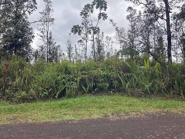 1st image of Road 9 Koloa Maoli Lot 5439