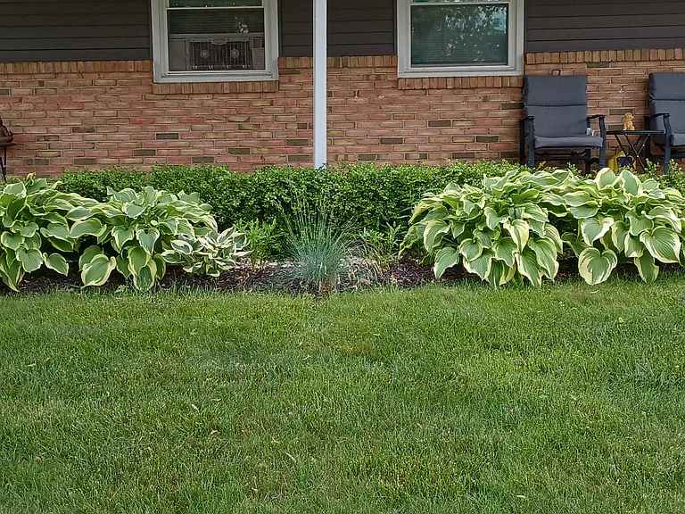 Front Landscape View During Season