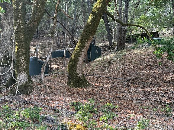 5th image of 59641 Bell Springs Road