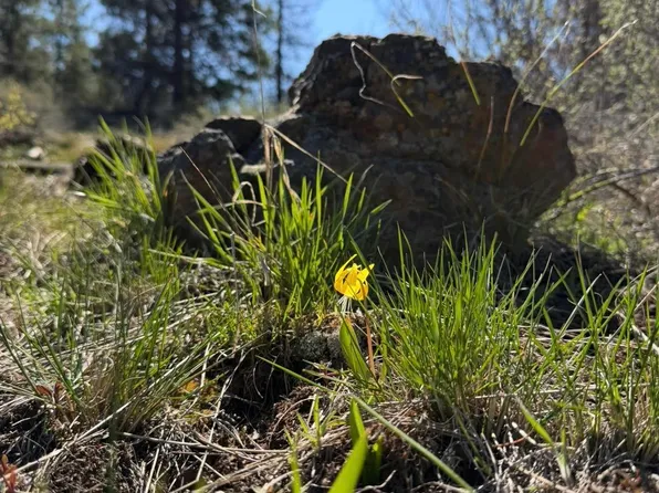 LOT 20 Crow Ct, Boise, ID 83716