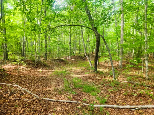 2 Little White Oak Rd #11, Duff, TN 37729