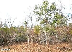 5th image of 0 Quail Roost Dr