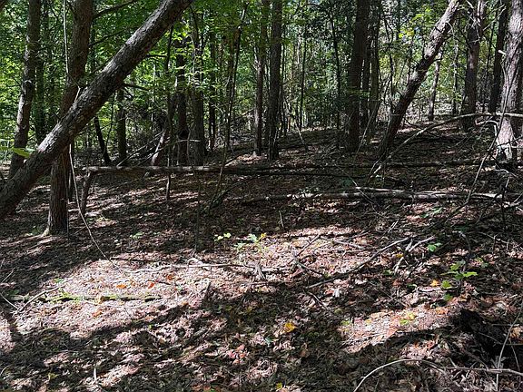 4th image of 746 Breazeale Rd