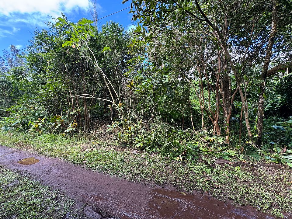 2nd image of Puna St Lot 586