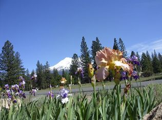 17641 Grizzly Den Rd, Weed, CA 96094