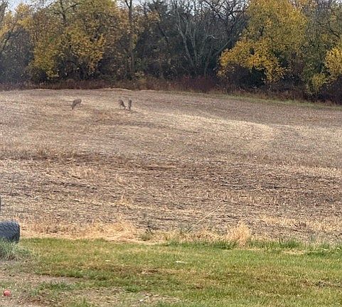 5th image of NW Camden Rd