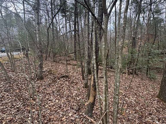 5th image of LOT-16R Leatherwood Mountain Rd