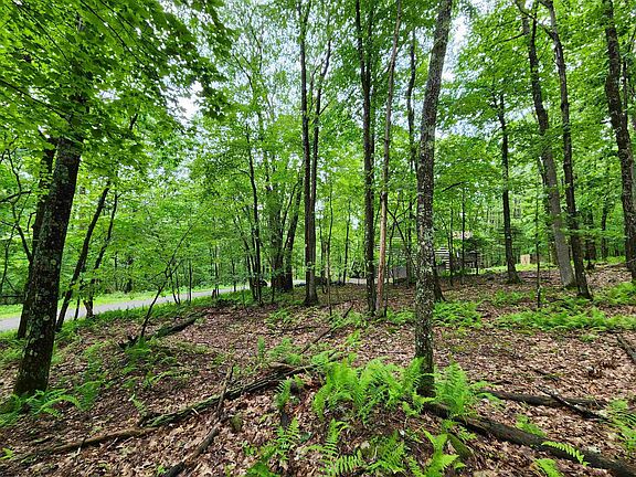 3rd image of 119 Windflower Dr